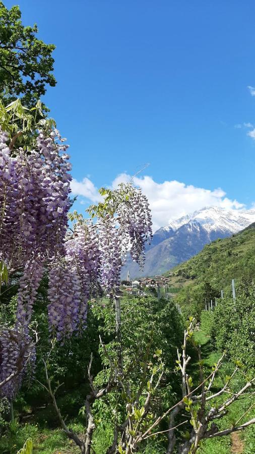 Appartement Lanja Ihr Besonderes Urlaubszuhause à Lagundo Extérieur photo